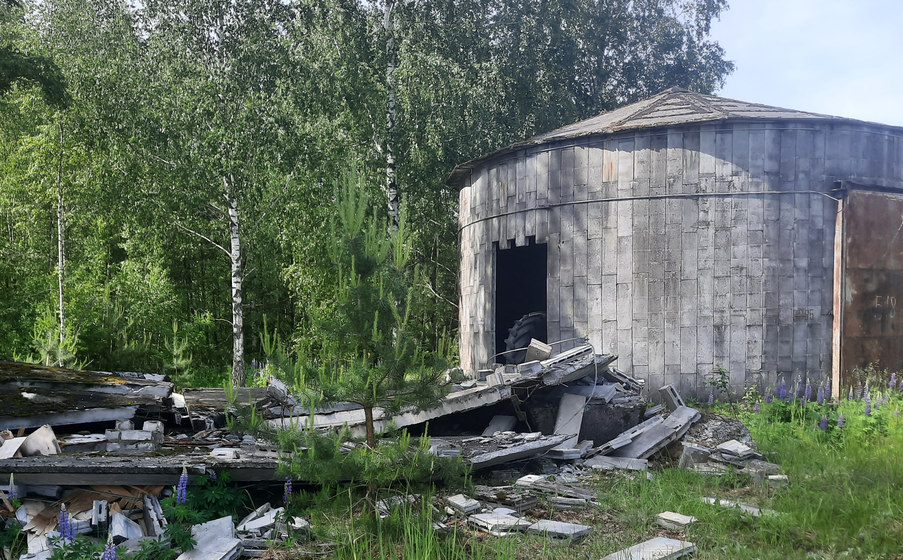 Напольный склад и материально-технический склад в г.п.Дрибин