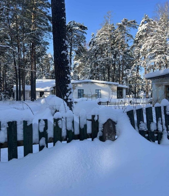 Имущественный комплекс бывшего оздоровительного лагеря "Спутник"