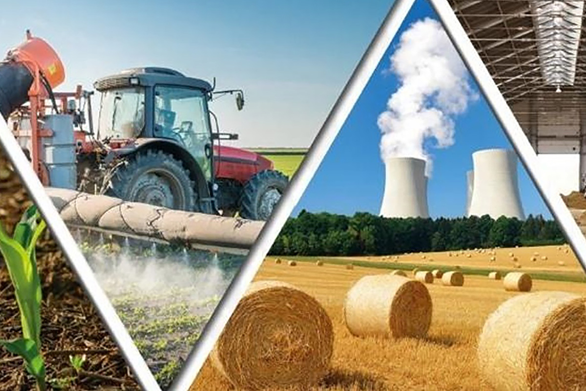 Обзоры ключевых отраслей Беларуси