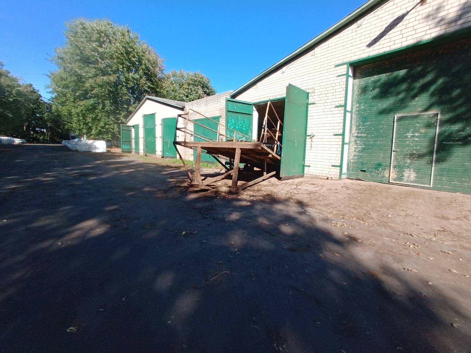 Здания бывших молочно-товарных ферм