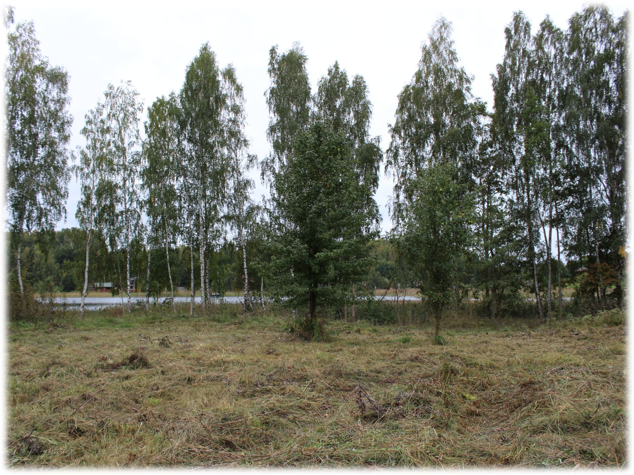 Для размещения объектов туристической сферы на озере Снуды_3